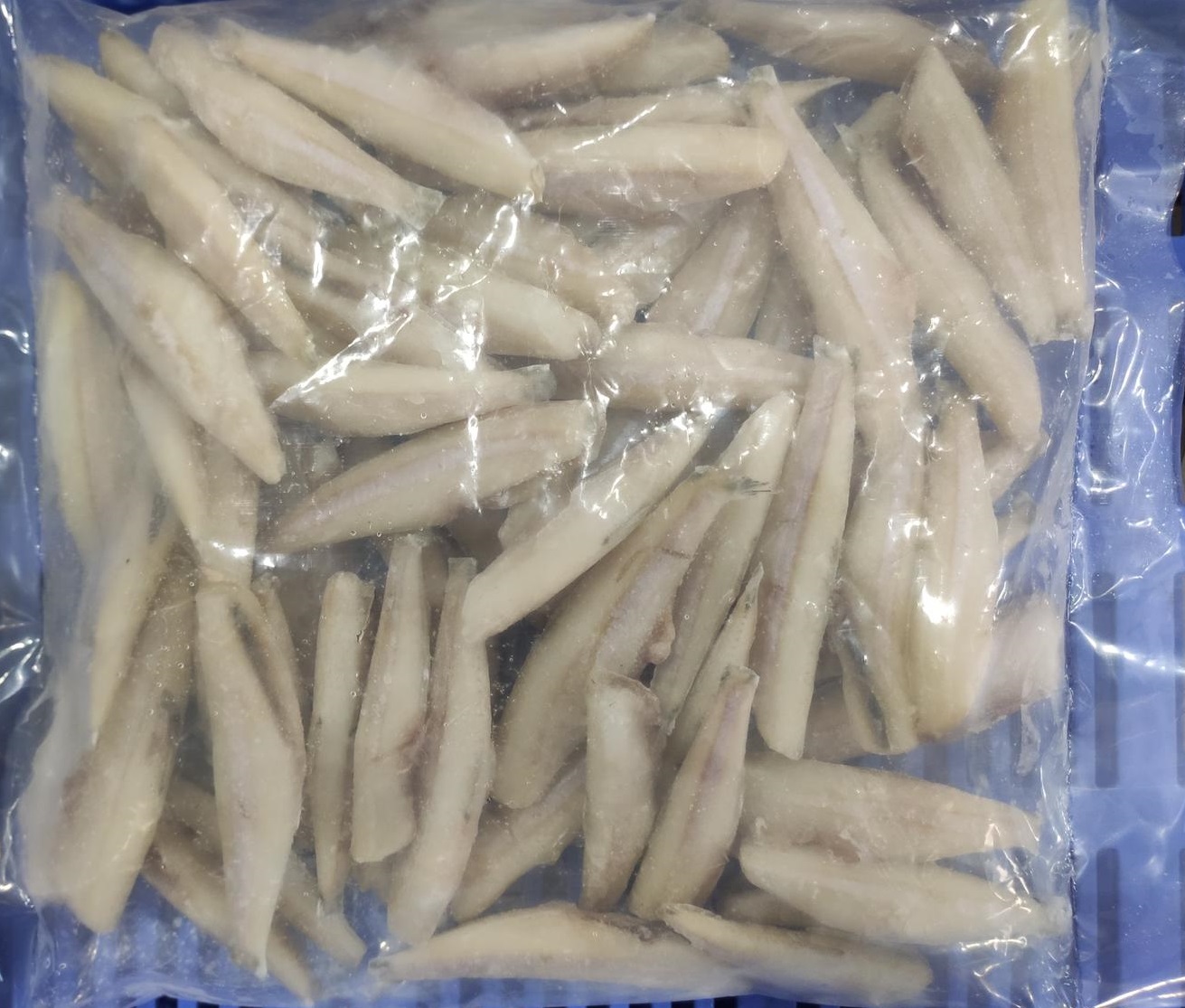 anchovies01
